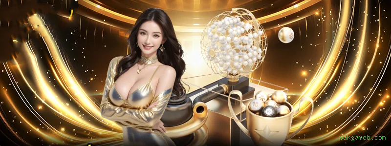 Termos de Serviço pakgameb.com